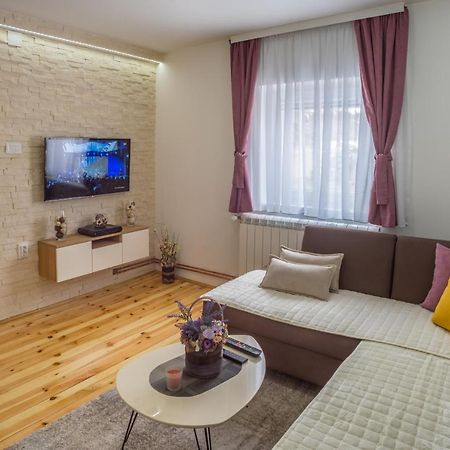 Vojinovic Apartman Жабляк Екстер'єр фото
